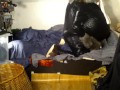 Nussija ist ein notgeiler Fickwolf und will endlich eine echte Muschi mit seinem Megaschwanz besamen
