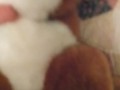 Bitch loves my dick 