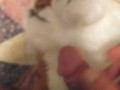 Bitch loves my dick 