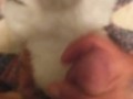Bitch loves my dick 