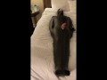 Femdom Sleepsack Bondage with Rebreather  and Estim