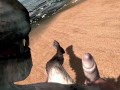 Pet The Khajiit Kitty Cock FPOV Taker POV Skyrim