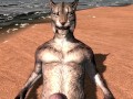 Pet The Khajiit Kitty Cock FPOV Taker POV Skyrim