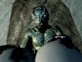 Argonian Lizard Fucks You Under The Stars FPOV Taker POV Skyrim