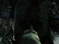 Argonian Lizard Fucks You Under The Stars FPOV Taker POV Skyrim