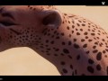 Wild Life / Female Furry Masturbation Compilation 2 HD