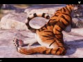 Wild Life / Female Furry Masturbation Compilation 2 HD