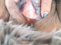 Very Naughty Mature Latina Woman!  See what the inside of my hair pussy looks like? Very Pink!