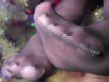 Black Nylon Soles by the Christmas Tree