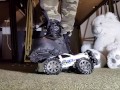 Toycar Crushing with Buffalo Platform Boots