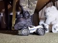 Toycar Crushing with Buffalo Platform Boots