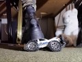 Toycar Crushing with Buffalo Platform Boots
