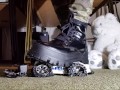 Toycar Crushing with Buffalo Platform Boots