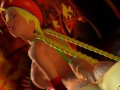 Cammy fucking hard (3D Porn Animation) Monster Cock 4K