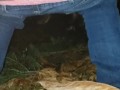 Peeing in the woods along the side of the road