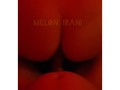 ملون ایرانی داگی استایل اش هم خوب چیزیه /Melon Iranian lying Doggystyle