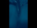 TwistedJustRight LOVES PUSSY breathing EDGING!