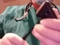 The doctor will see you now