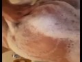 Soapy teen ass fingering  amateur 