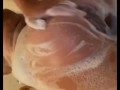 Soapy teen ass fingering  amateur 