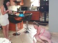 My fat bitch lapping up my piss after I took her for a walk