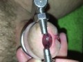 Urethral stretching with super device! My urethra is filled with sperm.