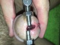 Urethral stretching with super device! My urethra is filled with sperm.