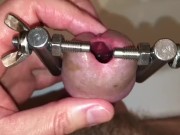 Urethral stretching with super device! My urethra is filled with sperm.