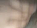 Chatte humide