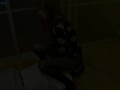 Hot Petite Girl Facesitting In Fishnet Pantyhose and Head Trample Femdom [PREVIEW]