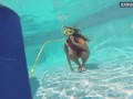 Cute teen Irina Poplavok swims naked underwater