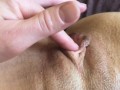 Mega Close Up! Dripping Wet Pussy with Slime and Pulsating Orgasm + ASRM LiluWetPussy