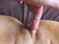 Mega Close Up! Dripping Wet Pussy with Slime and Pulsating Orgasm + ASRM LiluWetPussy