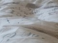 Solo Masturbation and Stomach Cumshot while watching porn in Pyjamas