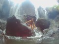 VAGINA FALL public FLASH and PEE #Tourist atraction Waterfall in Jungle