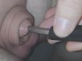 Inserting electro-sound into my huge flaccid cock.. moaning with pleasure