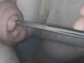 Inserting electro-sound into my huge flaccid cock.. moaning with pleasure