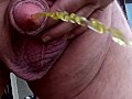Huge flaccid penis peeing outdoors