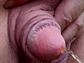 Huge flaccid penis peeing outdoors