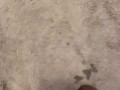 Slow Mo cum shot 