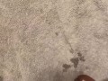 Slow Mo cum shot 