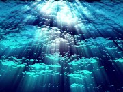 Ask Eve - What the Hell is a Period?- Advice Series by Eve's Garden female anatomyeducational