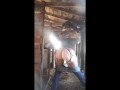 POV Femdom whipping slave in pig barn