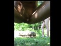 Nature fucking. She wraps her pussy around my big dick in the woods.