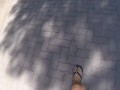 Public Risky Sex in Pool Shower My stepsister Sucking Cock with Cumshot - MissCreamy