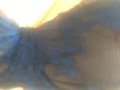 It's Me, Eve  - electric blue bra and big boobs