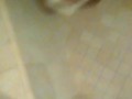 Back at it shower BBC milking 