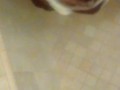Back at it shower BBC milking 