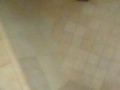 Back at it shower BBC milking 