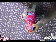 UNBOXING - Hankeys Toys - Check FREE Youtube: Kinky Life - for more - SFW, tattoo, ink